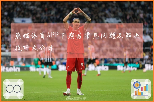 熊猫体育APP下载后常见问题及解决技巧大公开