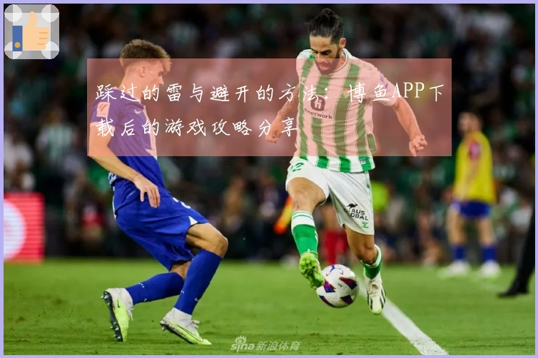 踩过的雷与避开的方法：博鱼APP下载后的游戏攻略分享