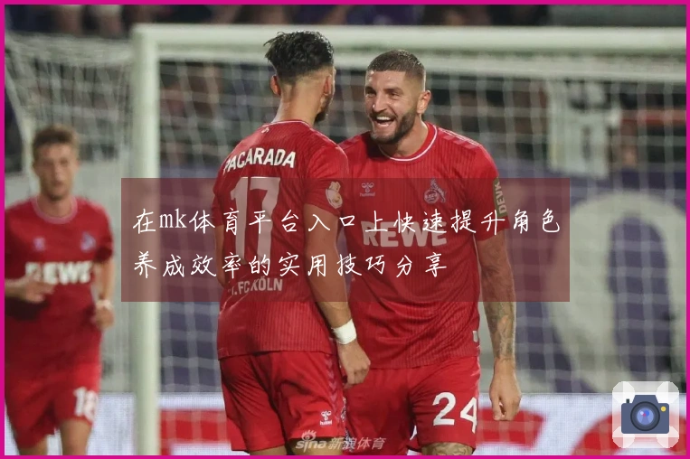 在mk体育平台入口上快速提升角色养成效率的实用技巧分享