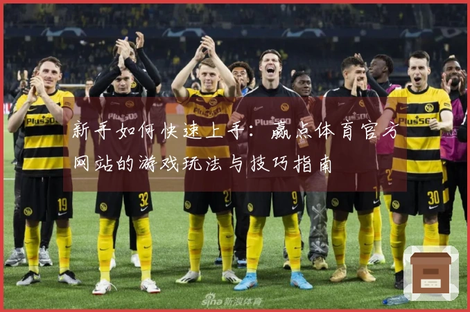 新手如何快速上手：赢点体育官方网站的游戏玩法与技巧指南